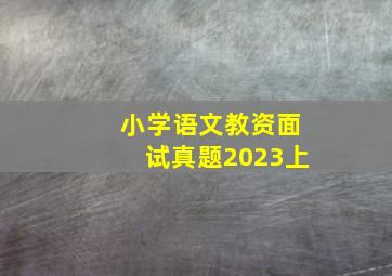 小学语文教资面试真题2023上