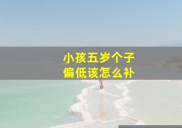 小孩五岁个子偏低该怎么补