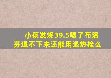 小孩发烧39.5喝了布洛芬退不下来还能用退热栓么