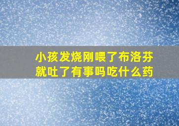 小孩发烧刚喂了布洛芬就吐了有事吗吃什么药