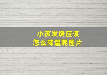 小孩发烧应该怎么降温呢图片