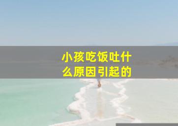 小孩吃饭吐什么原因引起的