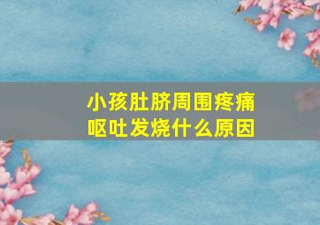 小孩肚脐周围疼痛呕吐发烧什么原因