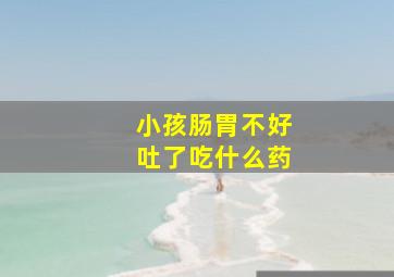 小孩肠胃不好吐了吃什么药