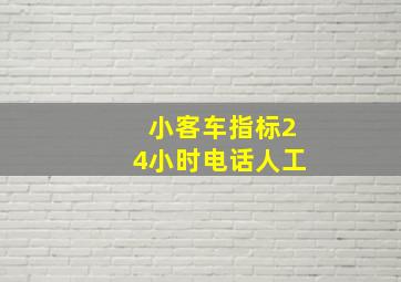 小客车指标24小时电话人工