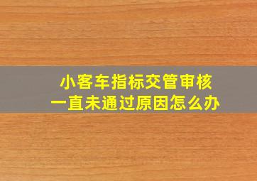 小客车指标交管审核一直未通过原因怎么办