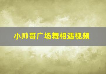 小帅哥广场舞相遇视频