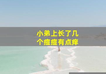 小弟上长了几个痘痘有点痒