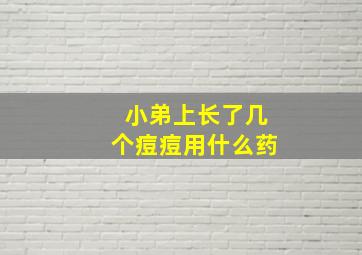 小弟上长了几个痘痘用什么药