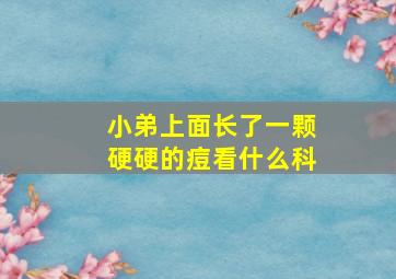 小弟上面长了一颗硬硬的痘看什么科