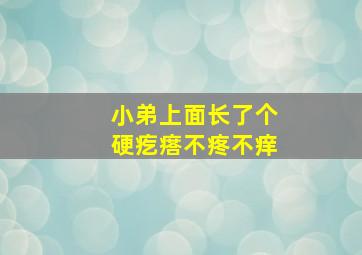 小弟上面长了个硬疙瘩不疼不痒