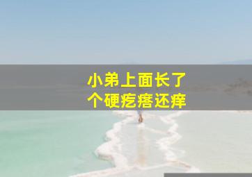 小弟上面长了个硬疙瘩还痒