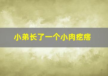 小弟长了一个小肉疙瘩