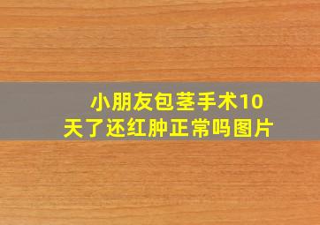 小朋友包茎手术10天了还红肿正常吗图片