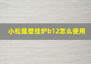 小松鼠壁挂炉b12怎么使用