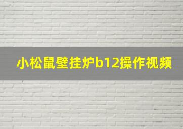 小松鼠壁挂炉b12操作视频