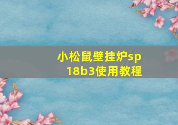 小松鼠壁挂炉sp18b3使用教程