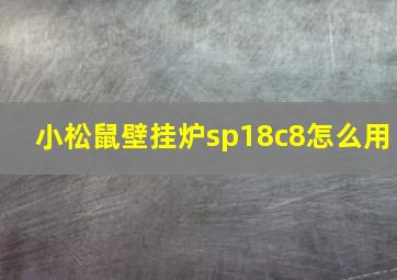 小松鼠壁挂炉sp18c8怎么用