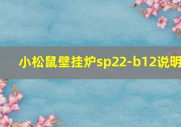 小松鼠壁挂炉sp22-b12说明