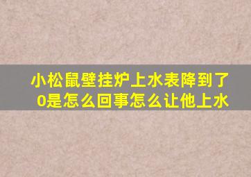 小松鼠壁挂炉上水表降到了0是怎么回事怎么让他上水