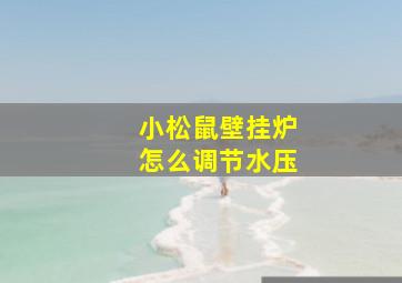 小松鼠壁挂炉怎么调节水压