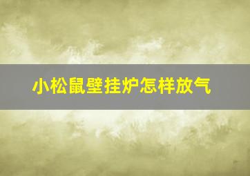 小松鼠壁挂炉怎样放气