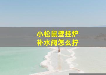 小松鼠壁挂炉补水阀怎么拧