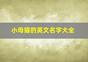 小母猫的英文名字大全