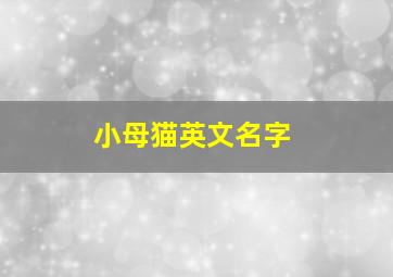 小母猫英文名字