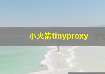 小火箭tinyproxy