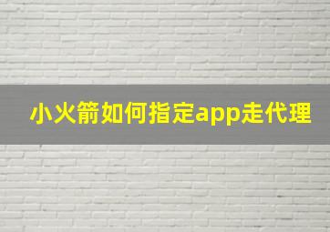 小火箭如何指定app走代理