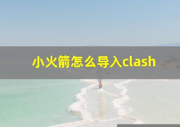 小火箭怎么导入clash