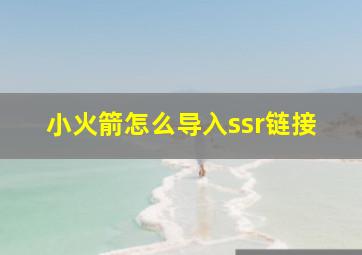 小火箭怎么导入ssr链接