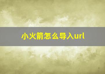 小火箭怎么导入url