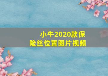 小牛2020款保险丝位置图片视频