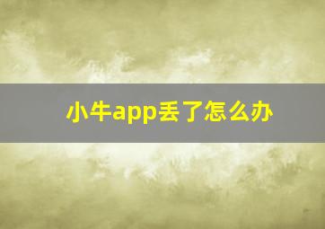 小牛app丢了怎么办