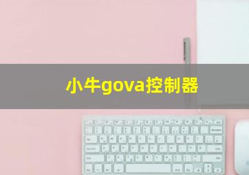 小牛gova控制器