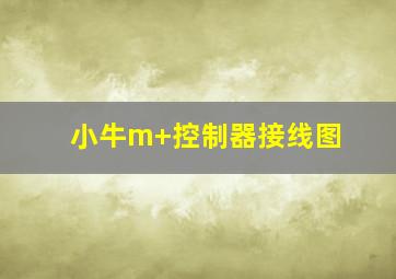 小牛m+控制器接线图