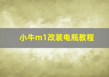 小牛m1改装电瓶教程