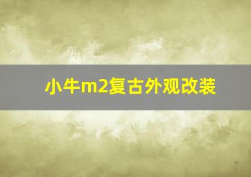 小牛m2复古外观改装