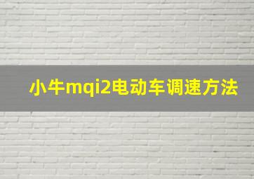 小牛mqi2电动车调速方法