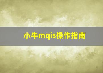 小牛mqis操作指南