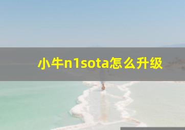 小牛n1sota怎么升级