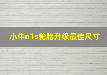 小牛n1s轮胎升级最佳尺寸