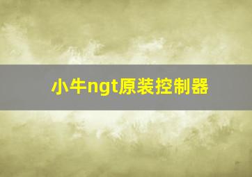 小牛ngt原装控制器