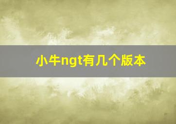 小牛ngt有几个版本