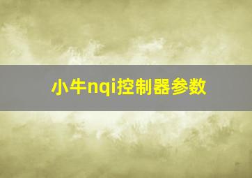 小牛nqi控制器参数