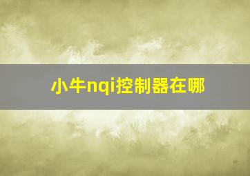 小牛nqi控制器在哪