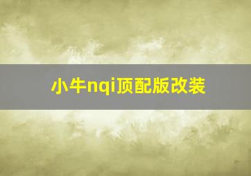 小牛nqi顶配版改装