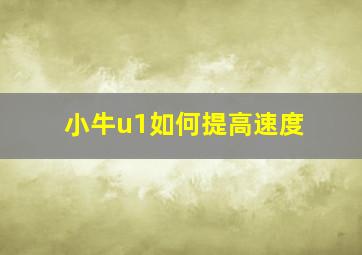 小牛u1如何提高速度